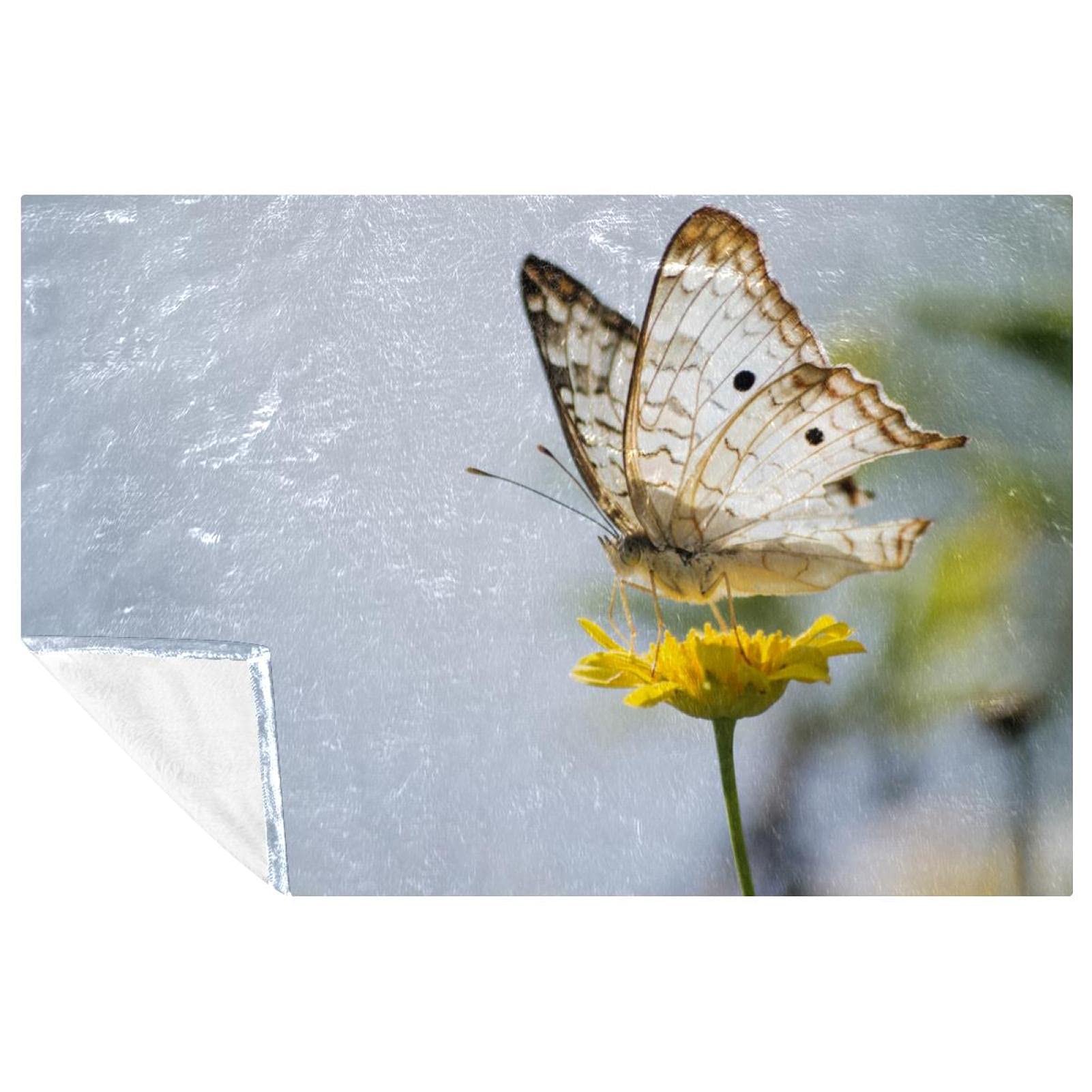Couverture chaude papillon contre le froid sur le canapé et en voyage