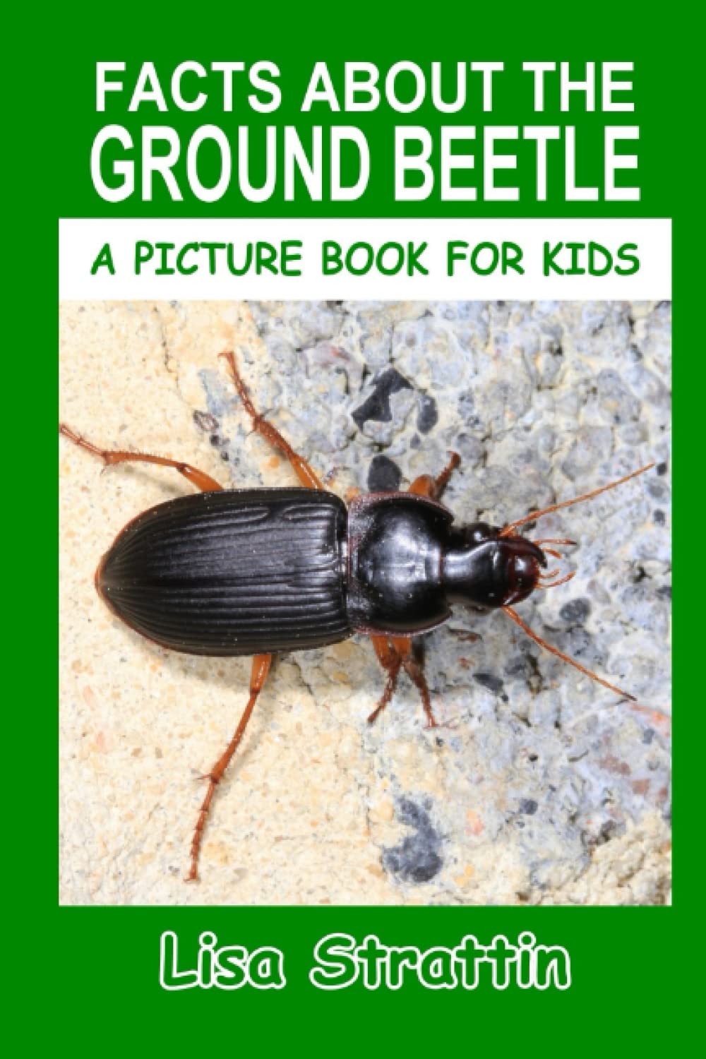 Facts About the Ground Beetle (A Picture Book For Kids)