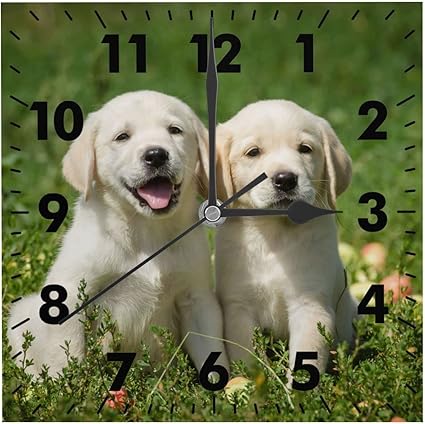 Amazon Co Jp 掛け時計 ラブラドール レトリーバー 子犬 おしゃれ 北欧 非電波 四角型 デジタル 置き時計 連続秒針 静音 大数字 見やすい 電池式 壁掛け時計 シンプル モダン フレームなし 自宅 寝室 部屋飾り 贈り物 インテリア 直径cm ホーム キッチン