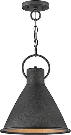Hinkley Winnie One Light Medium Pendant, Aged Zinc/Distressed Black