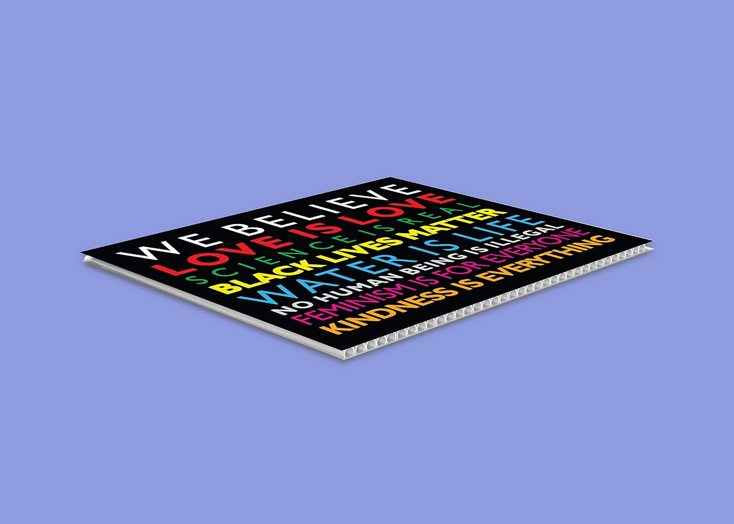 SignPro We Believe Yard Sign | We Believe Sign | Black Lives Matter Sign | Love is Love | Kindness Is Everything | 24" x 18" Corrugated Plastic Yard Signs with H Stakes | Double Sided (1)