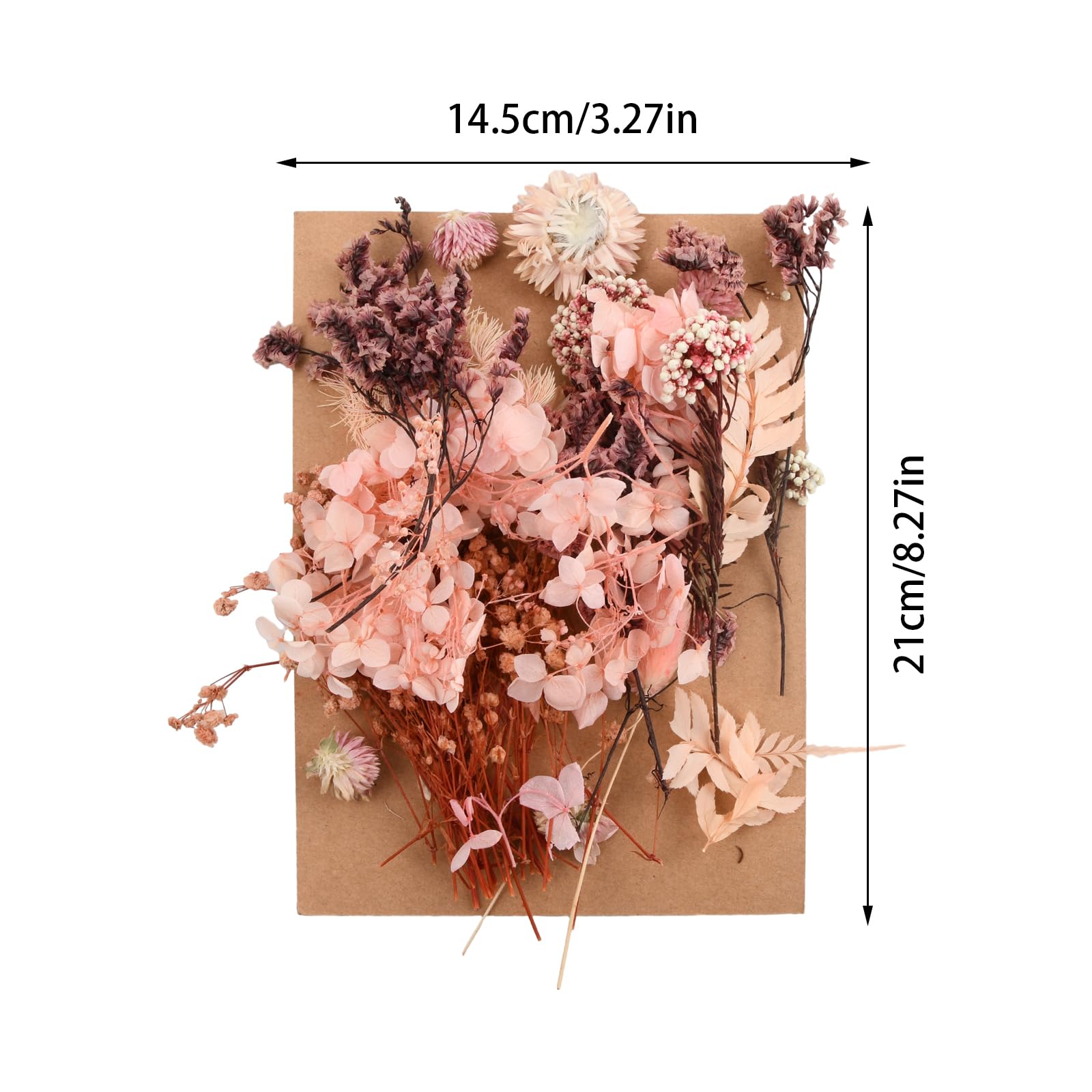 Clairefontaine 195591C - Confezione da 12 fori Secchi Pressati - Fiori veri - DIY Arte Floreale - Scrapbooking, Bricolage, Cartoleria Creativa - Decorazione, hobby creativo - Assortimento rosa