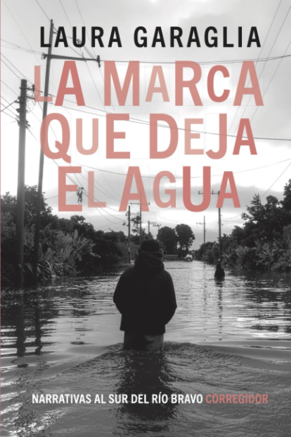La marca que deja el agua (Narrativas al Sur del Río Bravo)