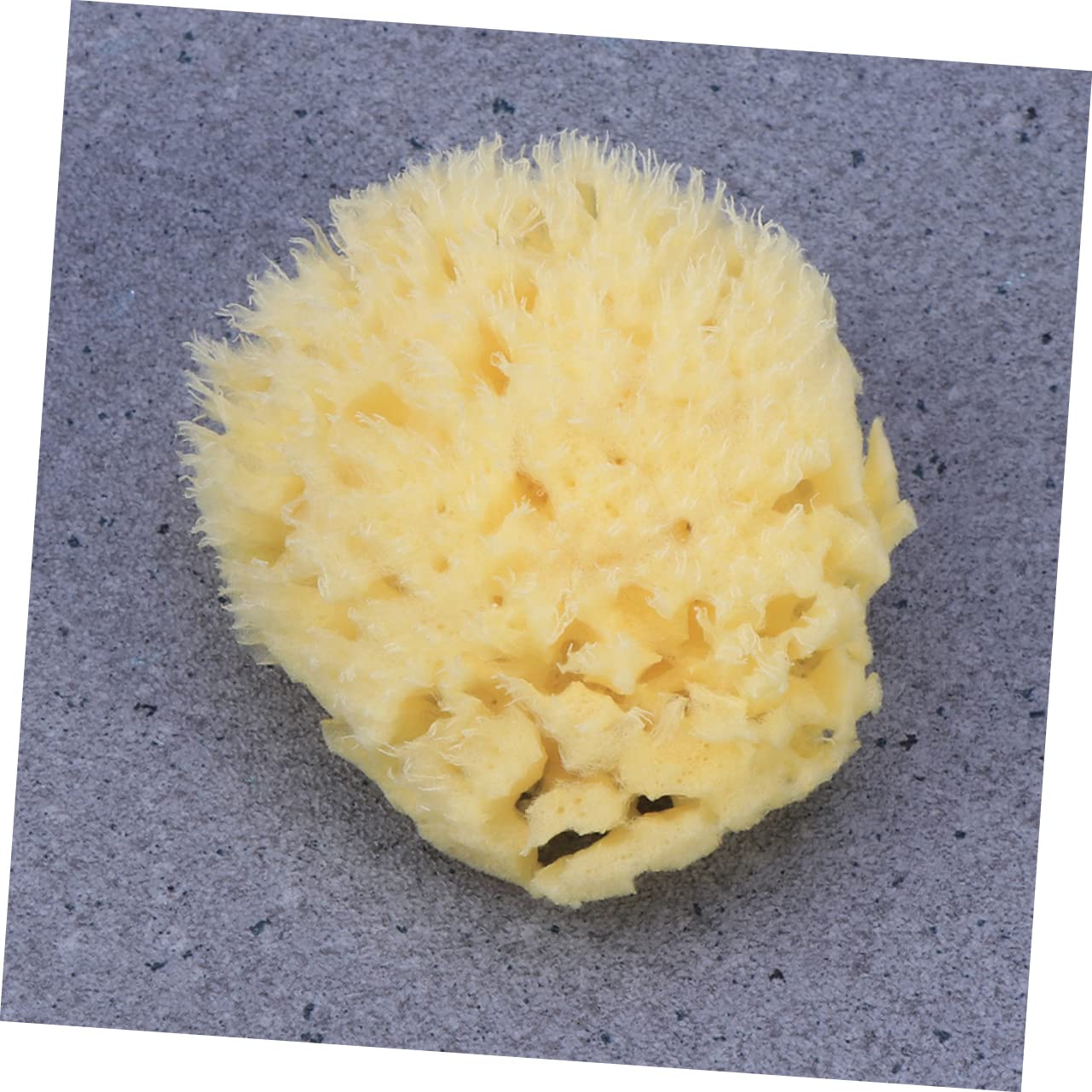 Beavorty 3 Piezas Esponja Natural Esponja De Lana De Mar Lavadora De Bebe Depurador De Baño Para El Cuerpo Vegetal Natural s Para Bañarse Facial Panal Bebé Bola De Baño
