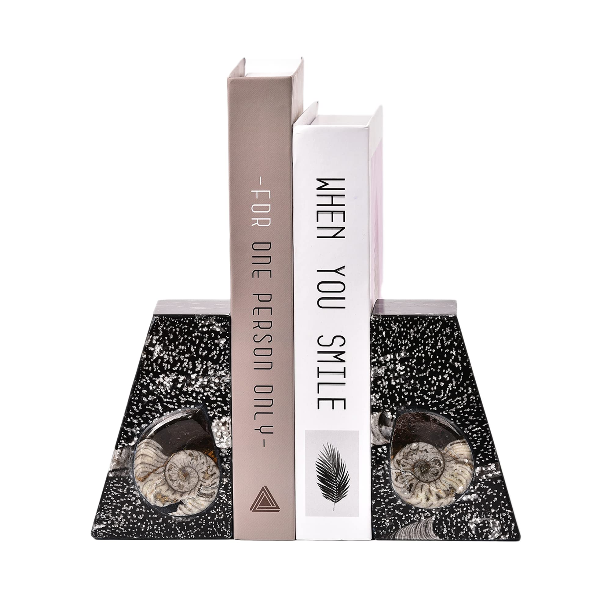 JIC Gem Orthoceras Fossil Bookends Black Fossil Bookends Decorative Heavy Duty Fossil Book Ends for Shelves with Rubber Bumpers （1 Pair 4-5lbs ）