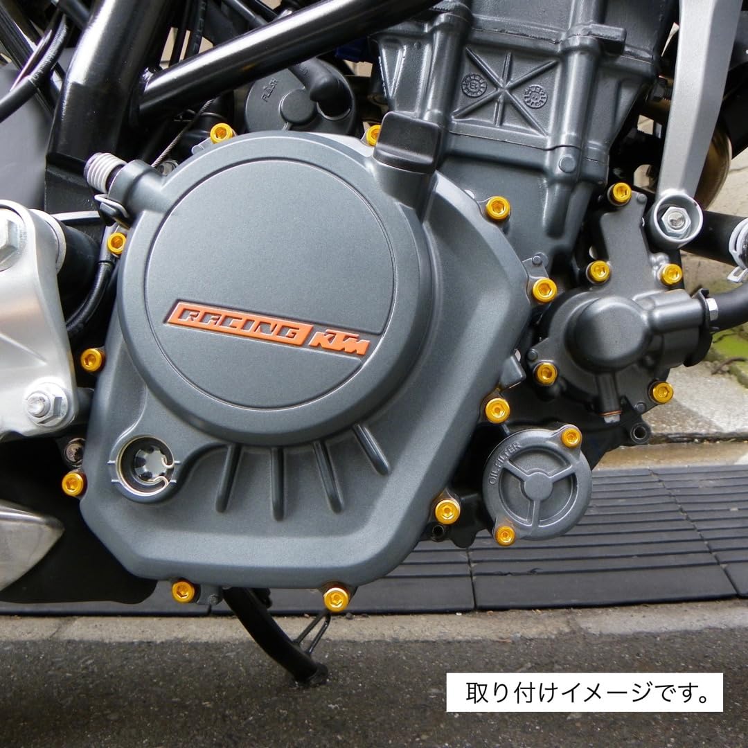 Amazon | エンジンケースカバーボルト25本セット / SUZUKI GSR250 2012 Amazon | エンジンケースカバーボルト25本セット / SUZUKI GSR250 2012