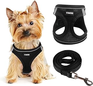 Dog Harness for Small Dogs, Small Dog Harness and Leash Set, Honeycomb Grid, Reflective