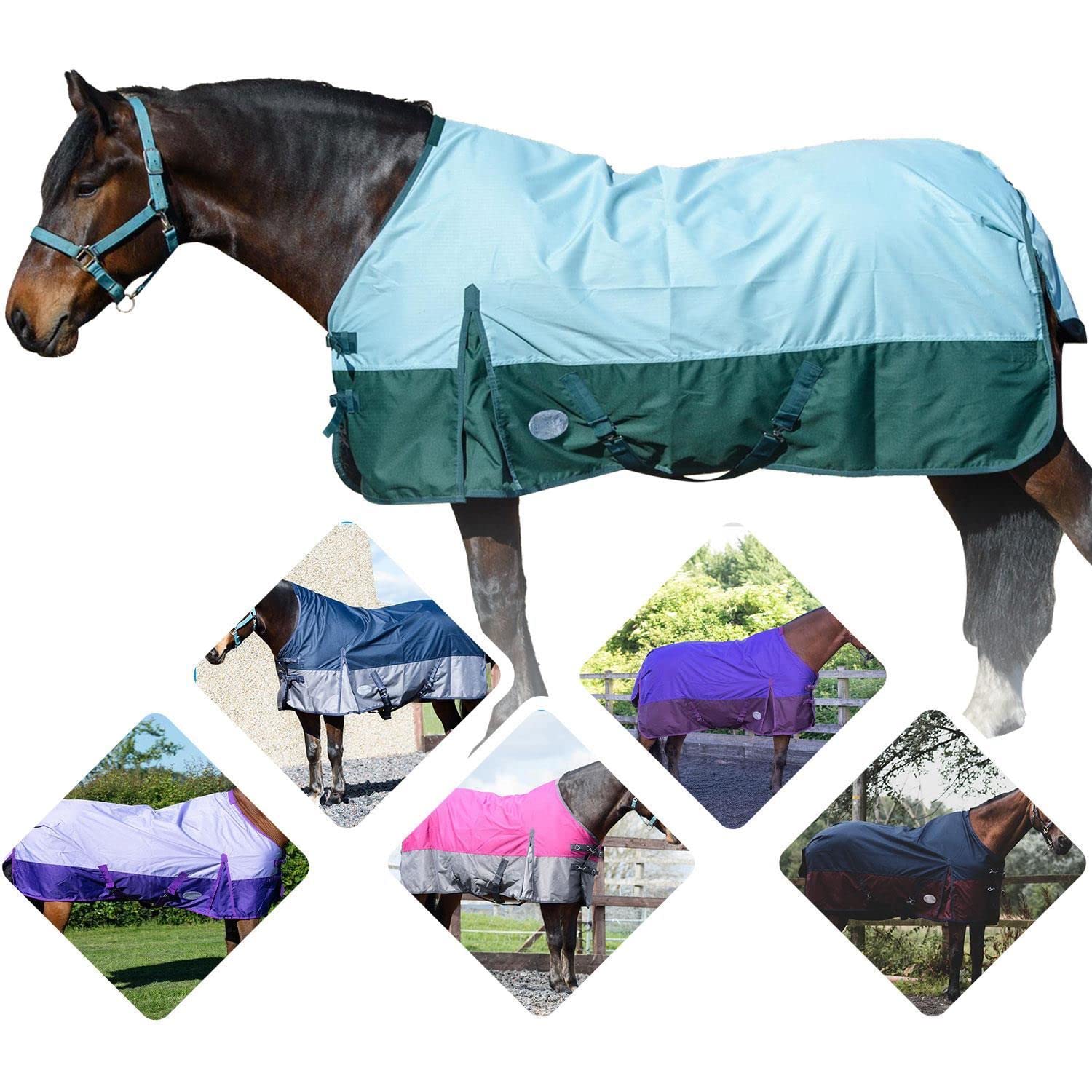 Equitack Turnout Rug with Regular Neck | 600D Lightweight Horse Rugs and 0gsm No Filling | Nylon Lining Adjustable Leg Straps Cross Over Surcingles Rugs for Horse (Pista Aqua/Bottle Green 6 '6")