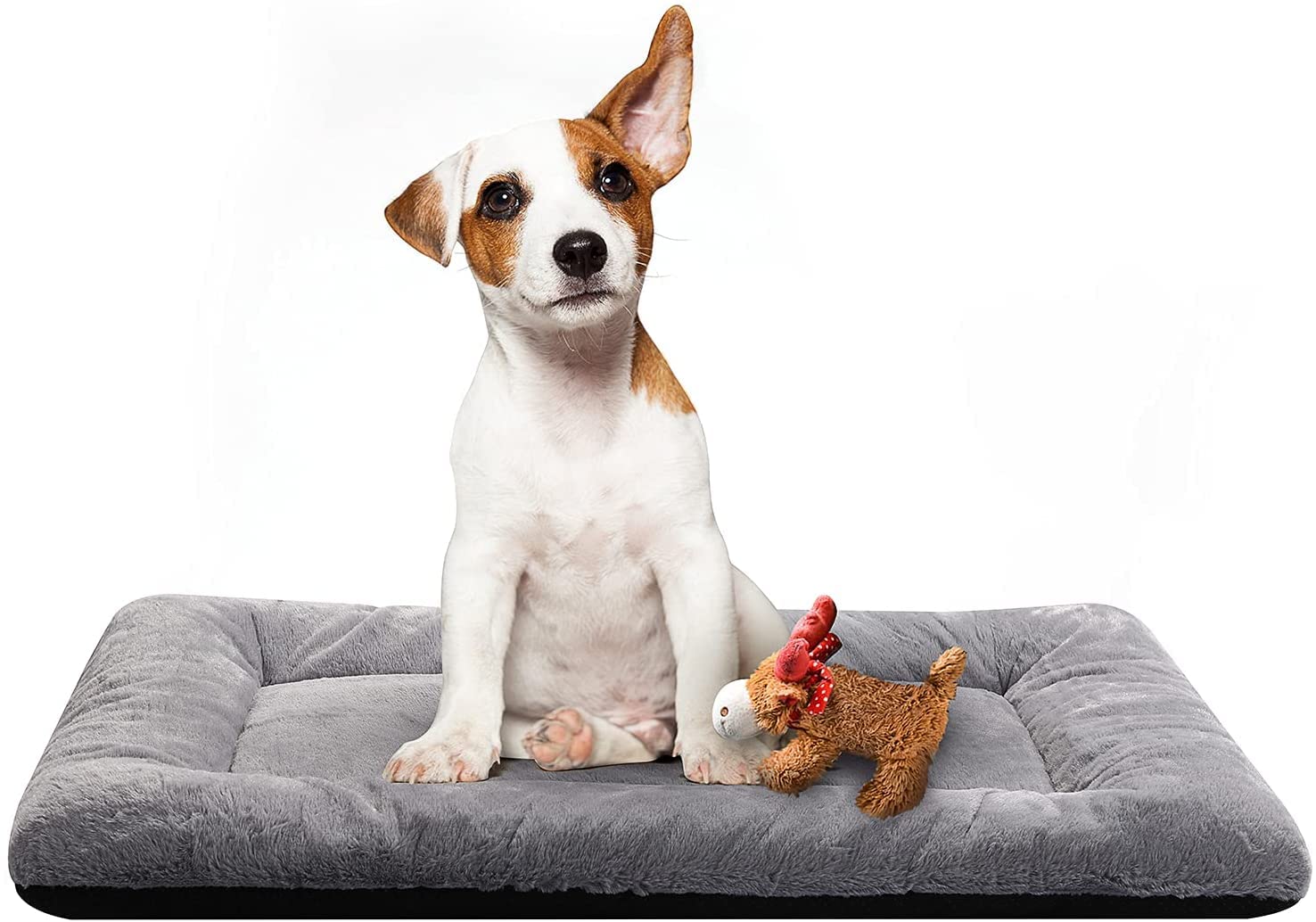 Petslover Ultra Soft Pet(Dog/Cat) Crate Mat Anti-Slip Machine Washable Kennel Pad Dog Sleeping Well Bed for Dogs (Grey, Medium)