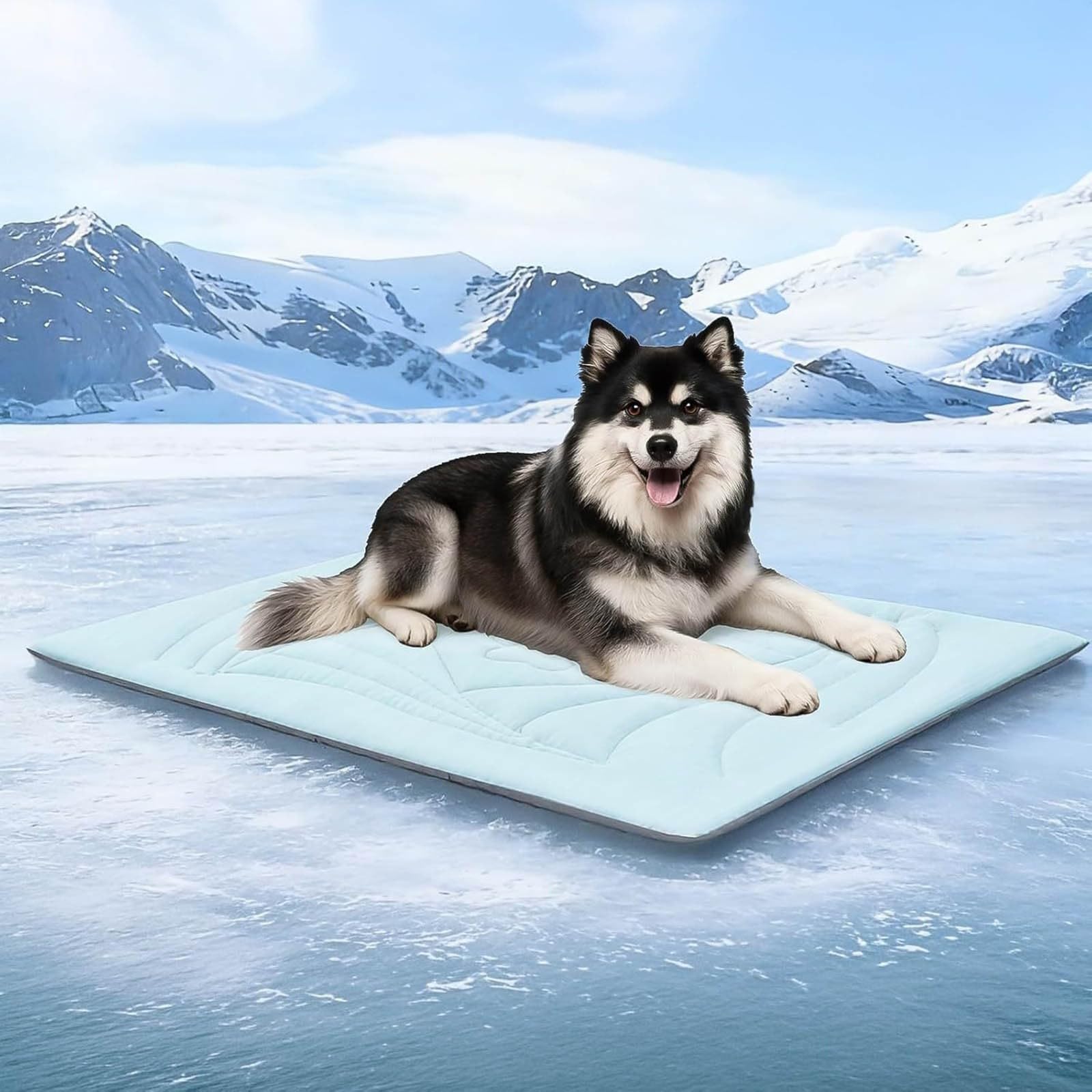 Générique Tapis de Refroidissement avec Coussin Oreiller pour Chiens et Chats, Matelas Antidérapant Lavable, pour Anxiété, Été, Intérieur et Confort