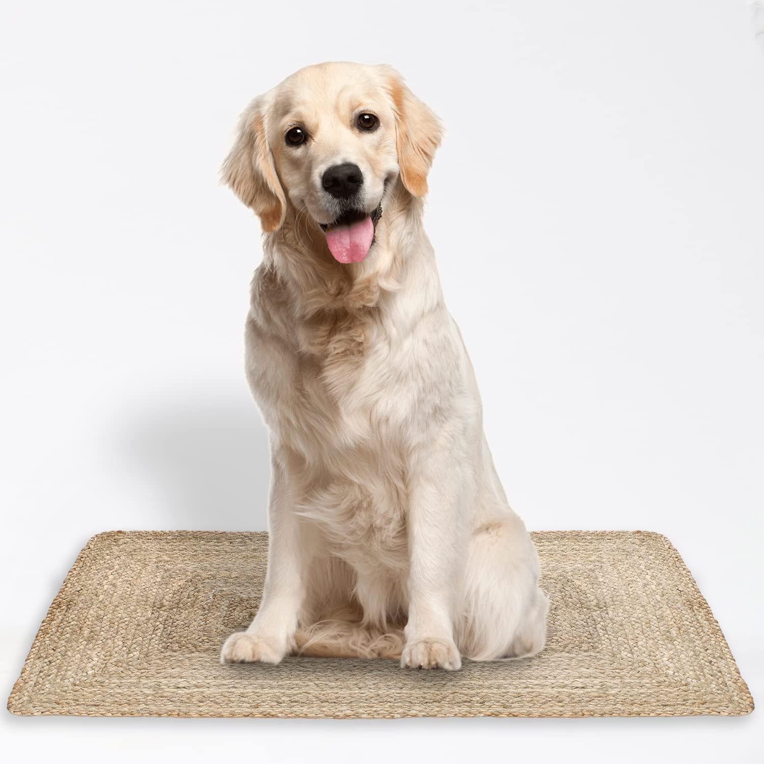 Jute Cotton Rag Rug 2X3' | Hand Woven Rug | Living Room Rugs | Kitchen Rugs | Jute Burlap Rag Rug 24x36 inch | Rustic Rug | Natural Rug | Runner Rugs | Entry Way Rugs(Rect W-2 x L-3 Feet)
