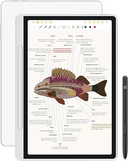 XPPen Magic Note Pad tablet con lápiz y modos de pantalla