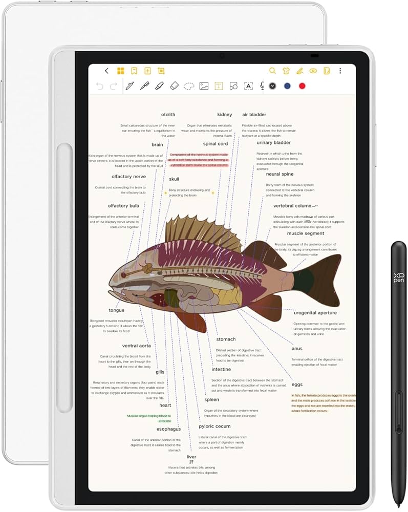 Amazon.com : XPPen 3 in 1 Color Digital Notebook 10.95'' Paper