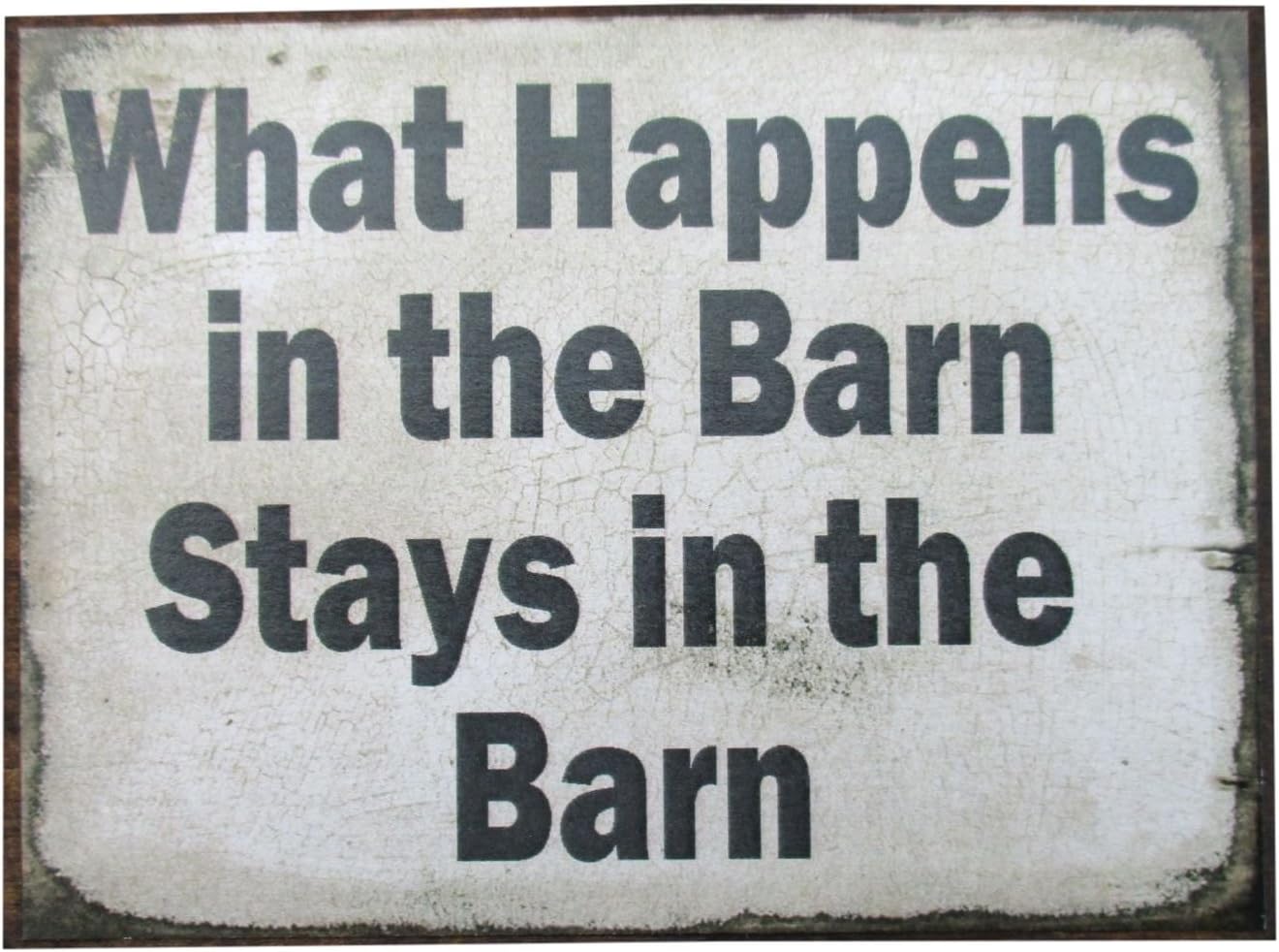 Farmisms 4x3 Inspirational Wooden Rustic Country Signs for Country Farm Living -What Happens in The Barn Stays in The Barn