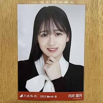 【即購入歓迎】乃木坂46 向井葉月 生写真まとめ売り 即購入歓迎】乃木坂46 向井葉月 生写真まとめ売り 乃木坂46 向井葉月