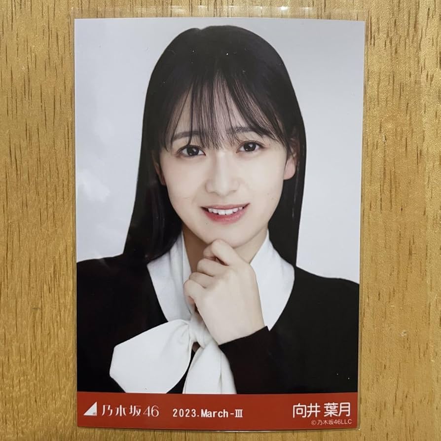 向井葉月　直筆サイン入りのぼり　ライブ　グッズ　乃木坂46 当選証明書あり 向井葉月 直筆サイン入りのぼり ライブ グッズ 乃木坂46 当選