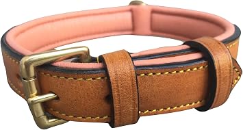 Padded Leather Dog Collar, Size Medium, Tan and Coral, 20" Long by 1 inch Wide, Neck Size 14.5" to 17.5" Inches