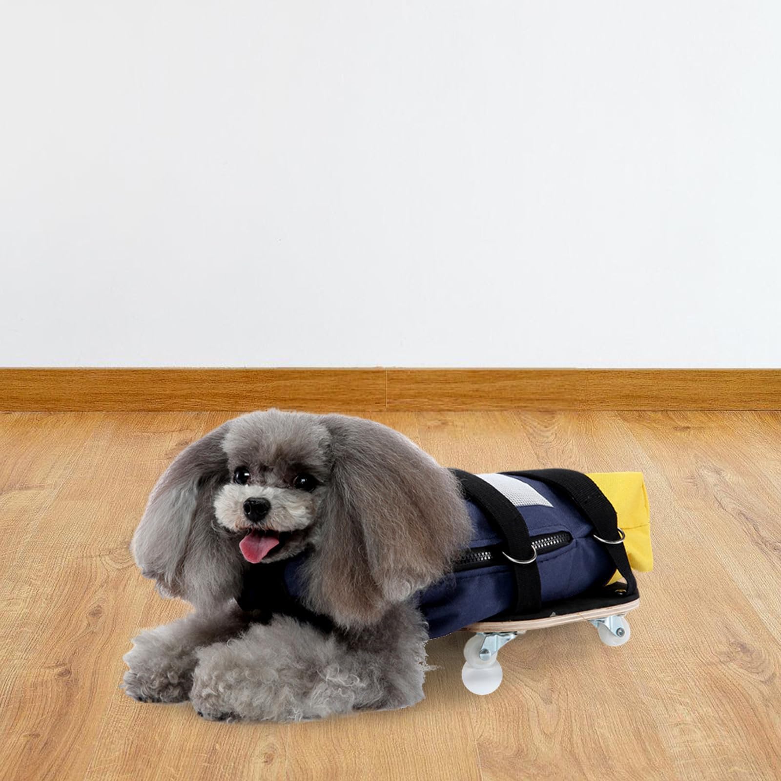 HEMOTON Carrellino per Cane Disabile con Ruote, Ausilio alla Mobilità per Zampe Posteriori, Realizzato in Poliestere e Legno, per Attività All'aperto al Chiuso