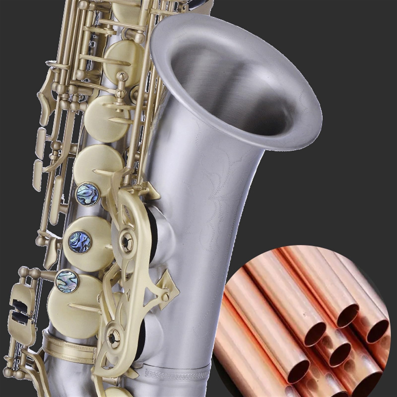 Saxofón Alto En Mi Bemol Para Principiantes En Instrumentos De Viento. Examen De Interpretación Y Calificación Profesional