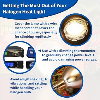 Pangea 50W Halogen Heat Lamp for Reptiles - Warming UVA and Infrared Light for Turtles, Tortoises, Bearded Dragons - Heating Bulb Terrarium Accessories, Designed for Ceramic Sockets (50 Watt)