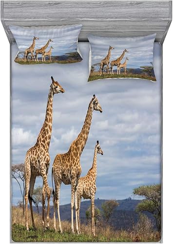 Miniatura 24 de Ambesonne Juego de sábanas bajeras y fundas de almohada, dibujos de aviones antiguos, vuelos clásicos con fechas, estilo vintage, diseño nostálgico,