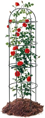Trellis for Climbing Plants Outdoor, 75" Tall Heavy Duty Metal Obelisk Garden Trellis Climbing Plant Support for Heavy Tomatos Cucumber Potted Vine Flower Rose Clematis Vegetable Pea Bean Trellises