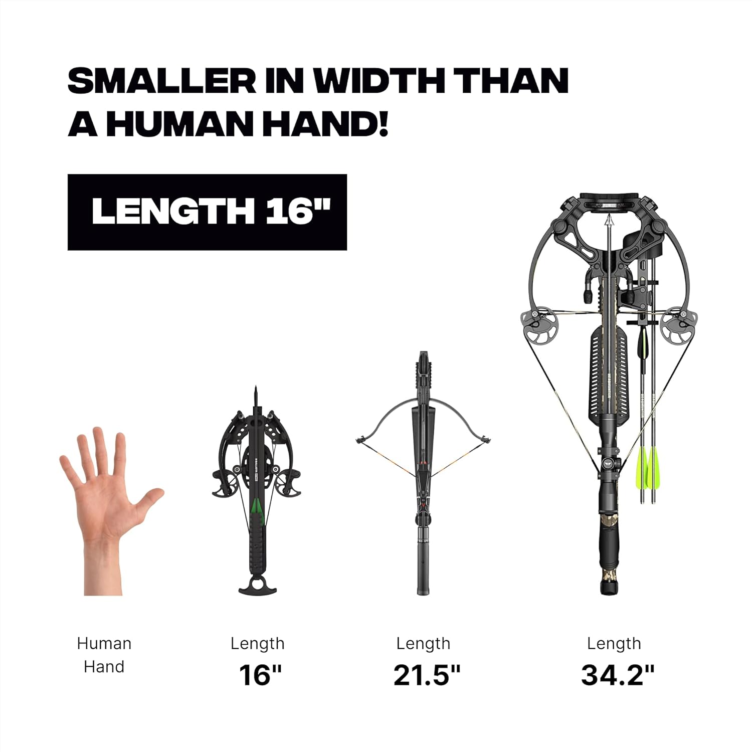 BALLISTA Hunting Bundle: BAT Compound Small Crossbow with Red Dot Sight and 6 x Stign Bolts 13"