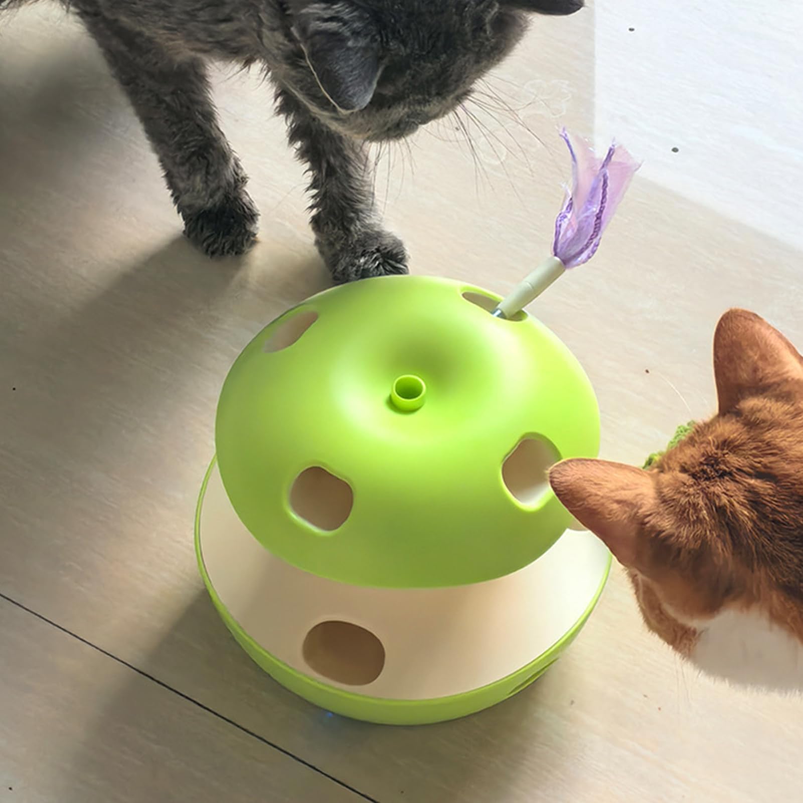 Giocattolo Puzzle per Gatti Giocattolo Enigmistico Interattivo per Gatti | di Arricchimento per per Esercizio Arricchimento Intrattenimento Stimolazione Mentale Interno ed