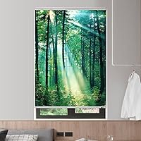 Vista 6 de ZSHINE Tela impermeable opaca inalámbrica manual tamaño personalizado y persianas enrollables con cenefa