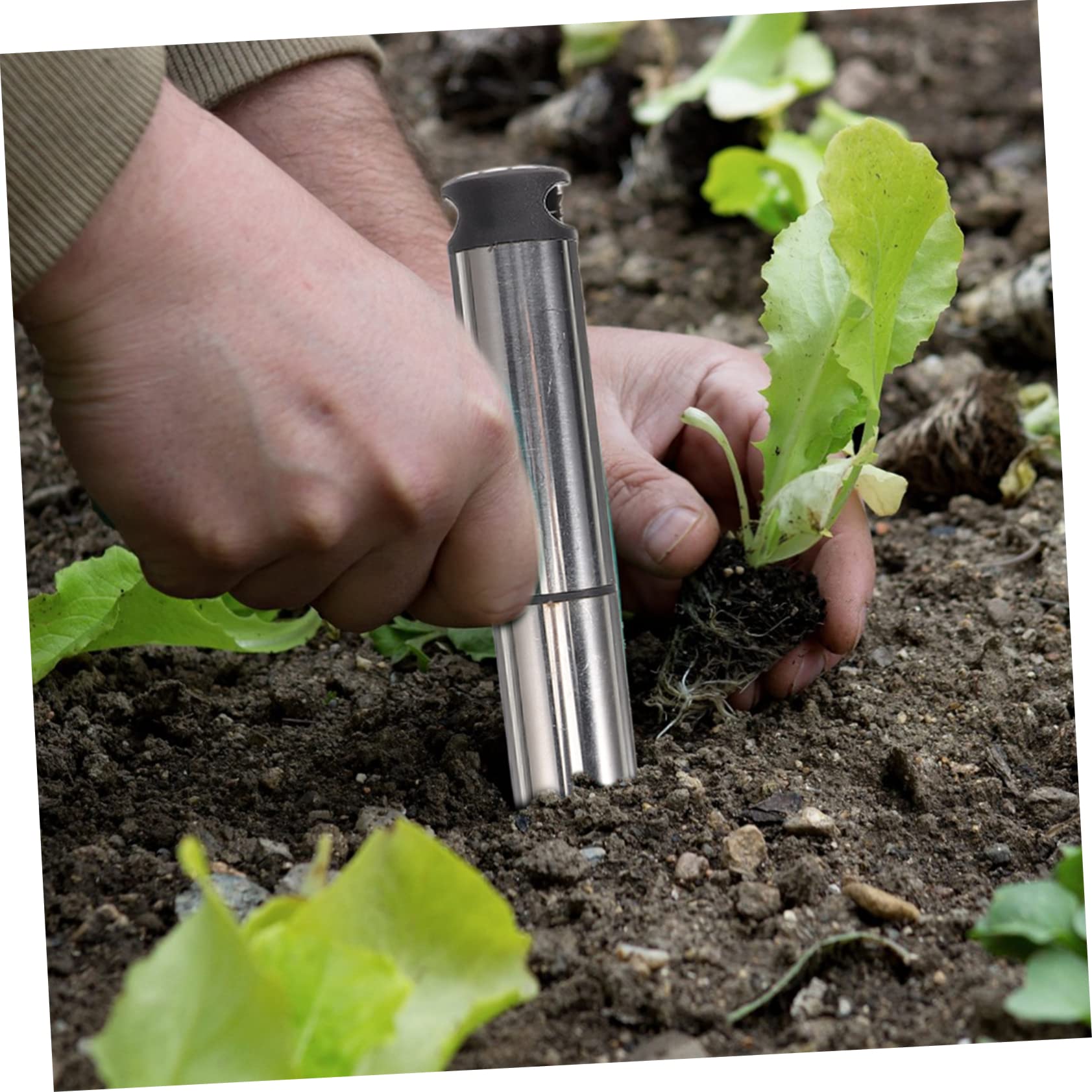 Toddmomy 3pièces Outil De Jardinage Inoxydable Planteur Manuel Pour Creuser Des Plantation Outil De Transfert Pratique Pour Jardinage