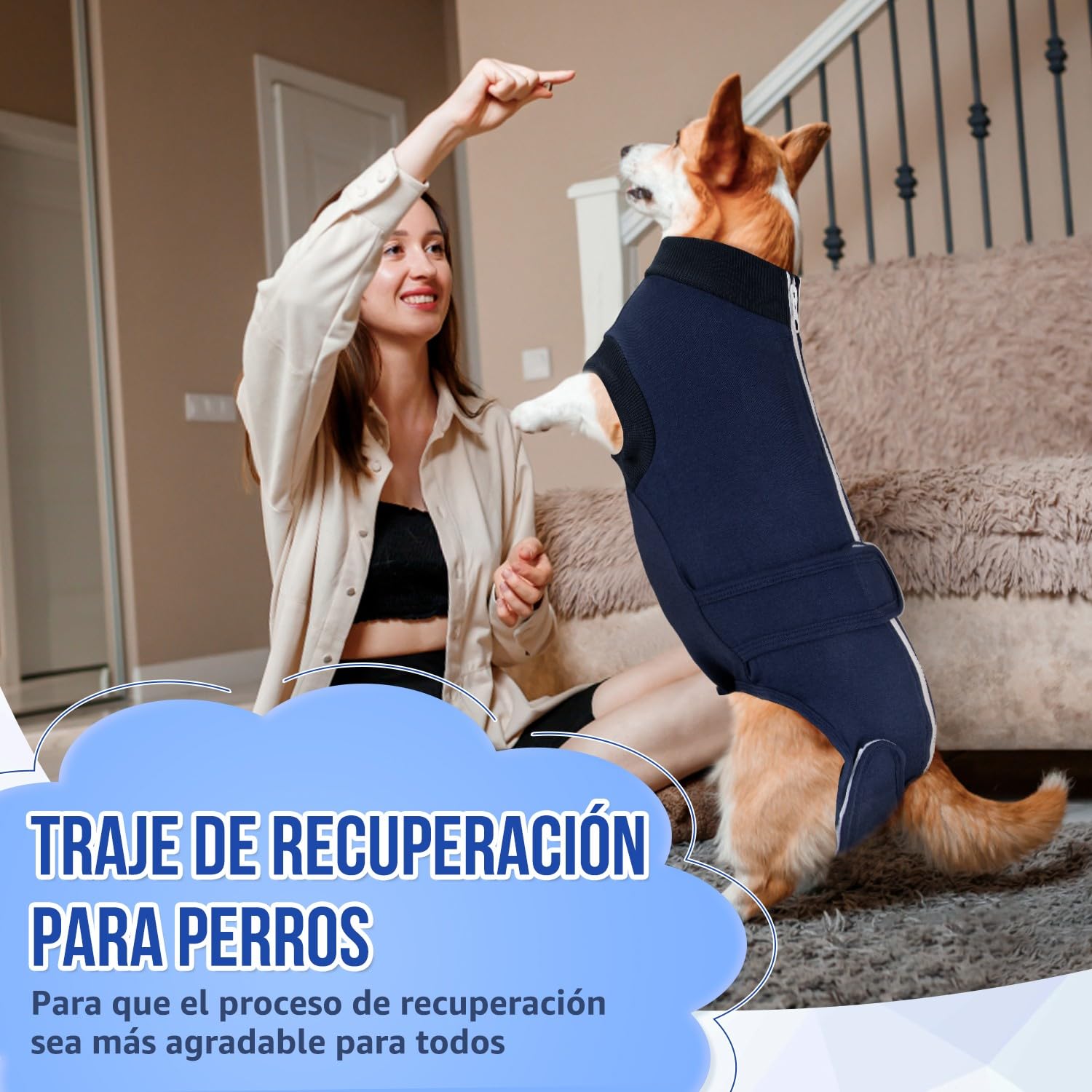 SlowTon Traje de recuperación de cirugía para Perros - Alternativa de Collar en Forma de Cono para Perros después de la cirugía con Cremallera, Camisa de recuperación Profesional para Mascotas