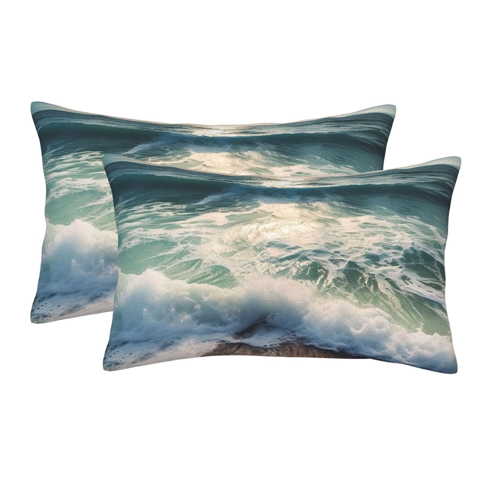 2 Pack Standard Size Pillow Cases for Hair and Skin Soft Breathable Pillow Case Covers with Hidden Zipper Sea on The Boards Pillowcase 20"x30" Pillow Cover for Sleeping Gift