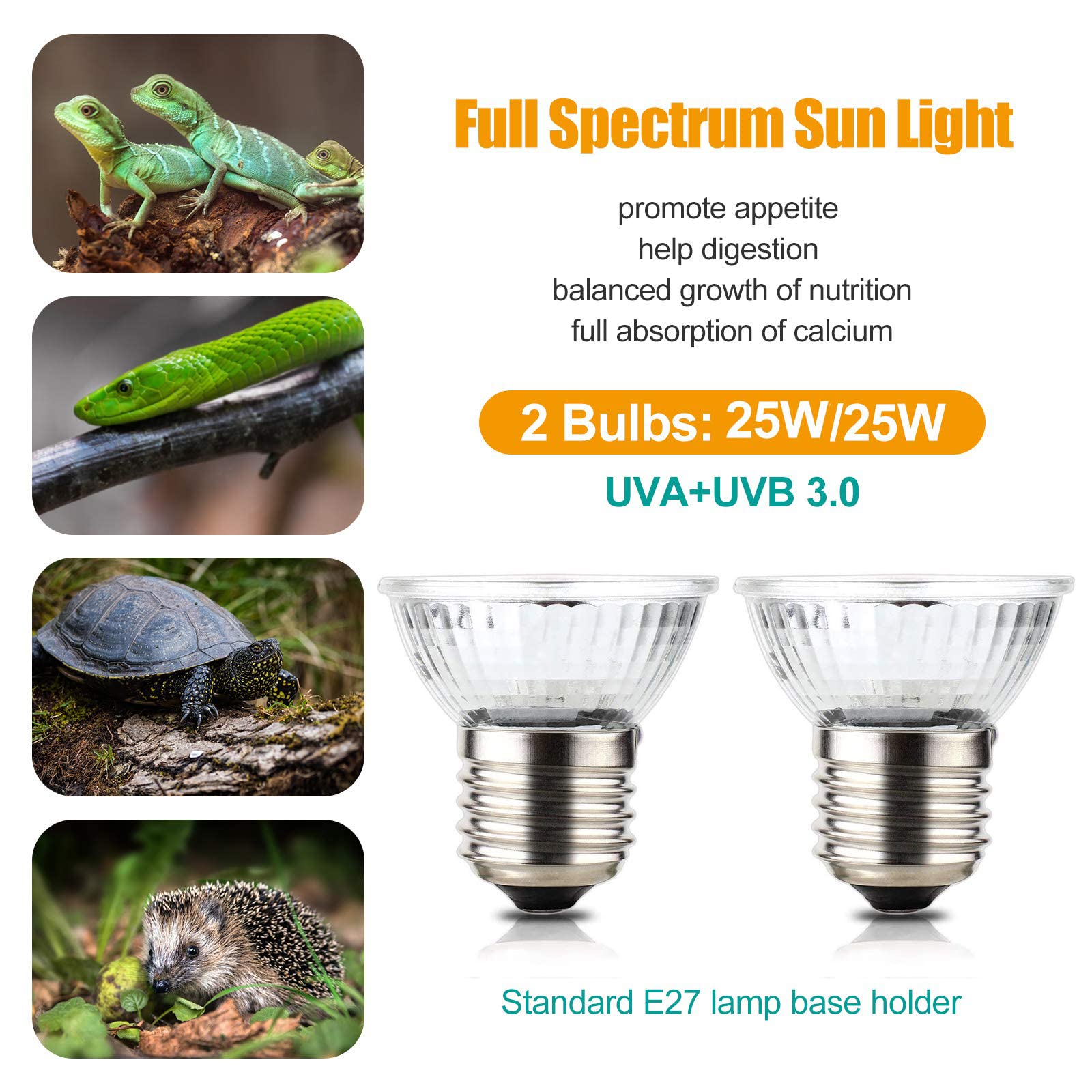Reptile UVB Bulbs Lamp LED Reptile Light Fixture China