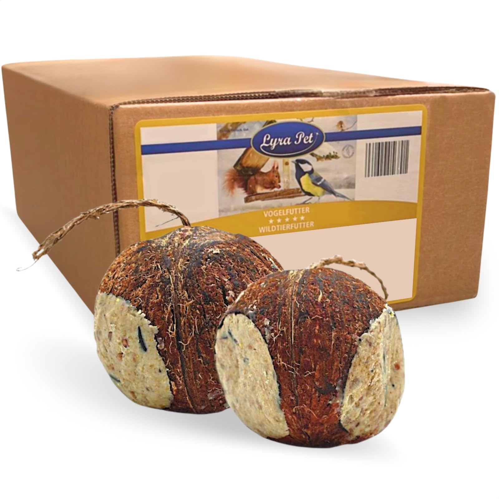 Lyra Pet® 2 x 4 Noix de Coco entières remplies de 3 Trous | Nourriture Riche en Graisse pour Oiseaux Sauvages | Noix de Coco remplie de substances nutritives | Nourriture grasse pour Toute l'année