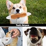 Nocciola Jouets pour chiens, Jouets de chien en peluche, Jouet de chien farcis avec squeakers,12 pcs Puppy Toys avec un sac de transport pour petits chiens de taille moyenne