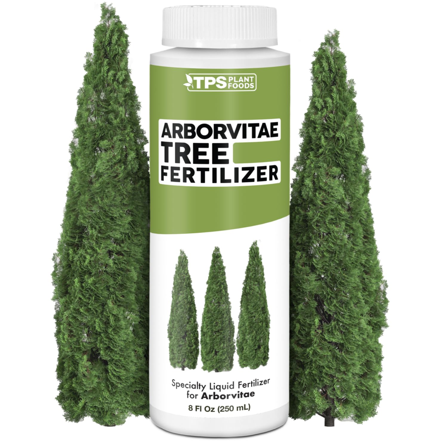 Best Arborvitae Fertilizer for Optimal Growth