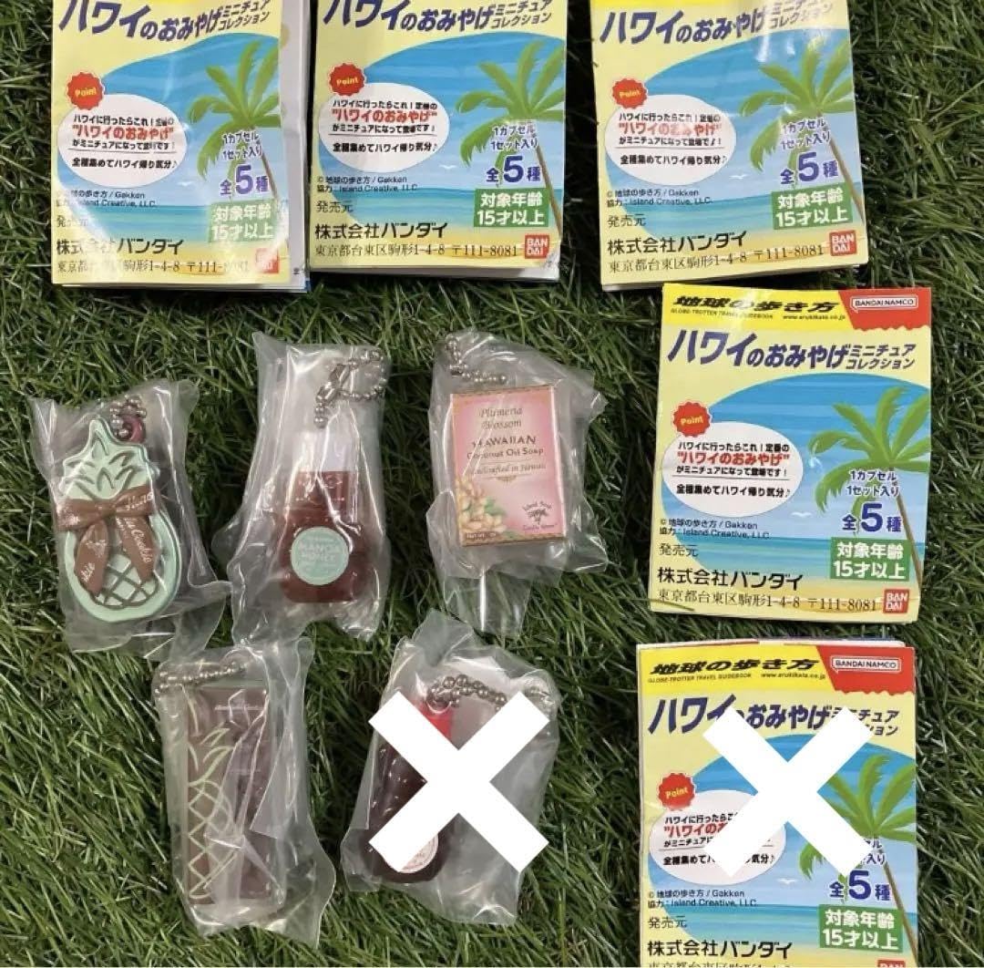 Amazon.co.jp: 地球の歩き方 ハワイのおみやげミニチュア