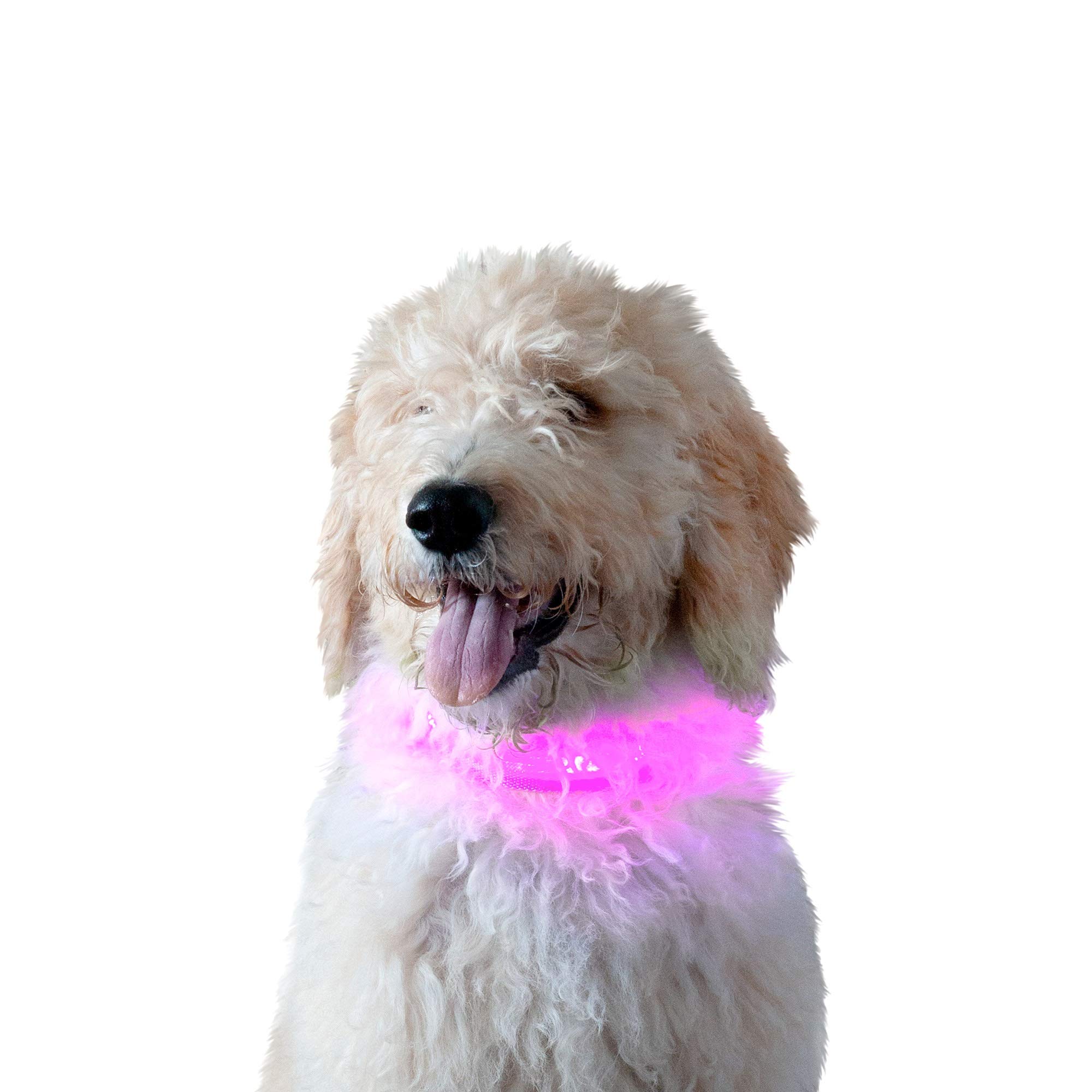 FurhavenPet Accessory for Dogs and Cats - 1,000-ft High Visibility Water-Resistant LED Dog Collar for Walking and Running, Pink, Small