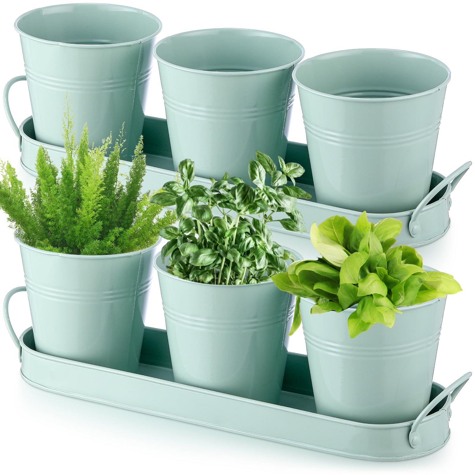 Hicarer Kräutertopf-Set – 6 Metalltöpfe Mit Tablett, 10,2 Cm, Für Küchenkräuter & Sukkulenten