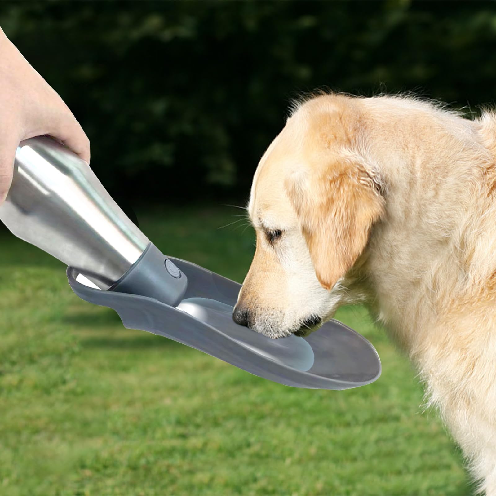 Botella de Agua para Perros Portátil, ZoneYan 750ml, Dispensador de Agua para Perros de Acero Inoxidable, Botella de Viaje para Caminar para Perros (Gris)