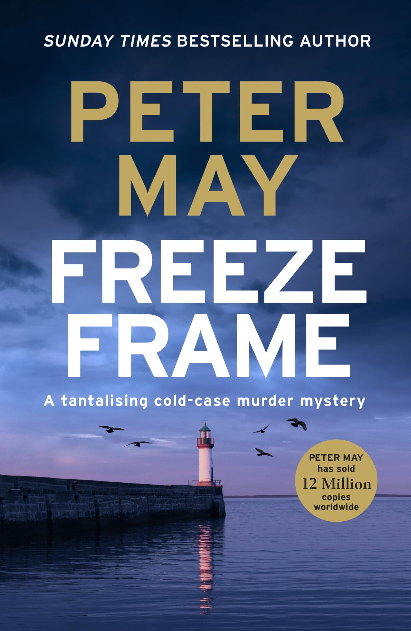 Freeze Frame: An engrossing instalment in the cold-case Enzo ser
