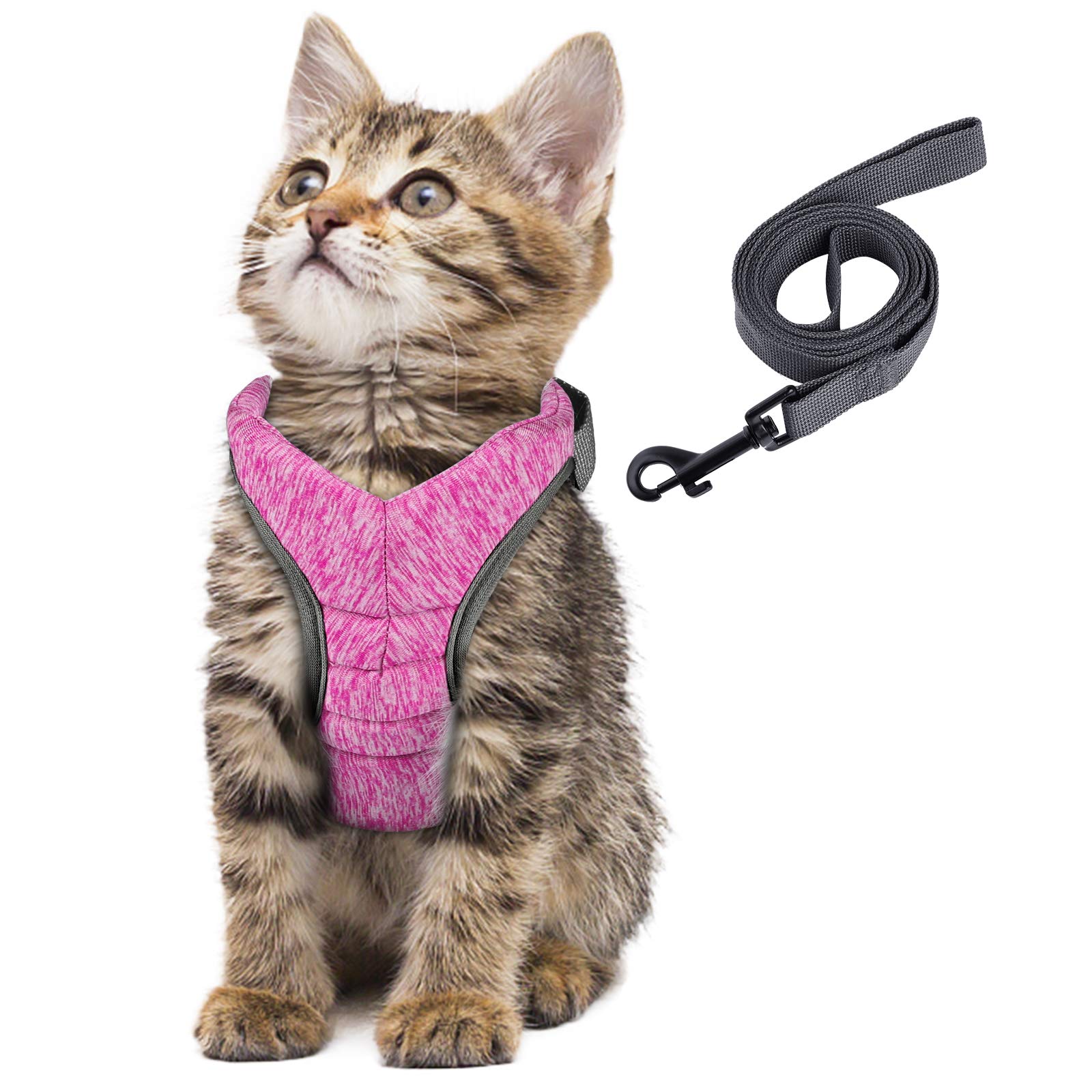 rainbow cat harness