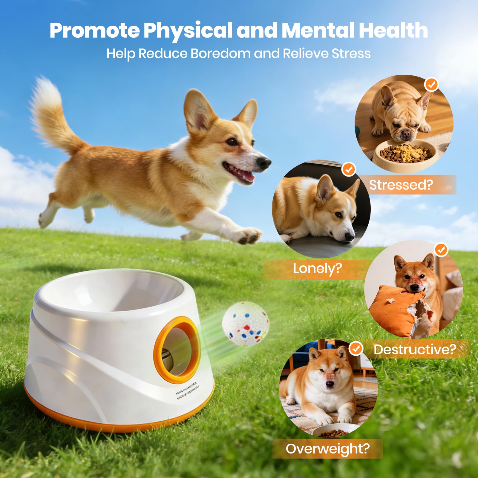 Lanceur balles automatique pour chien, Machine à lancer des balles avec 6 balles de tennis en E-TPU et 3 réglages de distance Jouet interactif pour chien (Distance de lancement : 6 à 14 mètres)