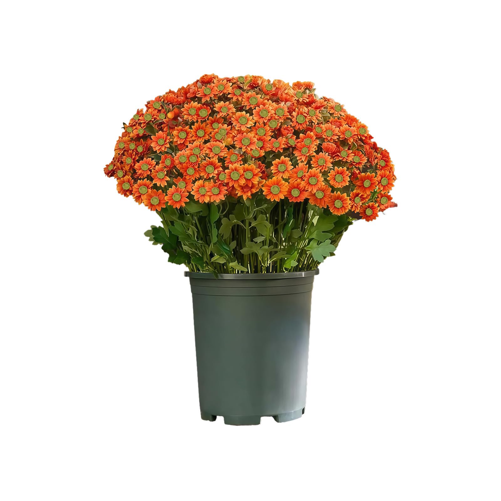 YROHGKPN Autumn Artificial Daisies Flowers Bouquet Imitation Chrysanthemums Decoration Weather-resistant Plant for Garden Artificial Flower Arrangements
