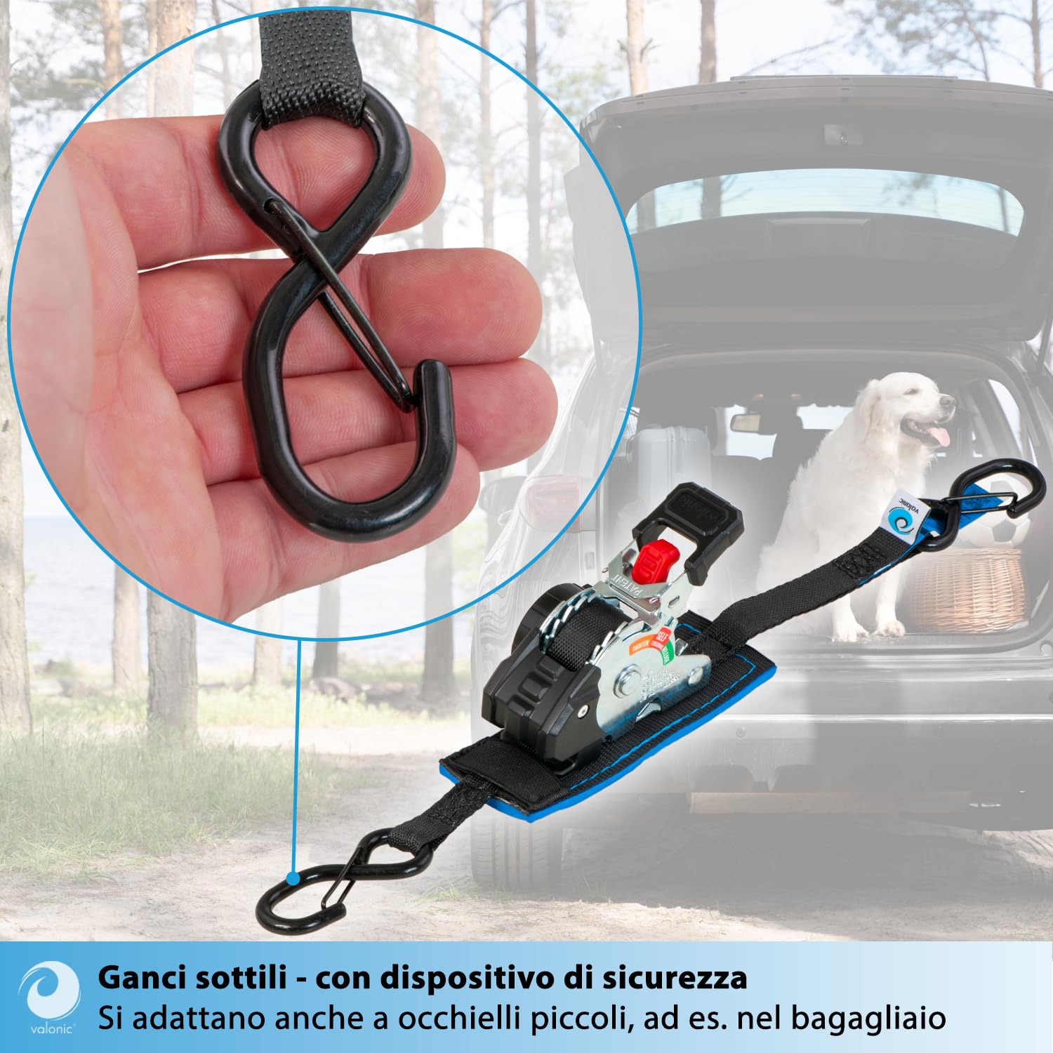 valonic FOX 2 m, mini cinghie a cricchetto, per fissaggio in furgone, set da 2, 150 kg forza di serraggio, 19 mm, cricchetto gommato