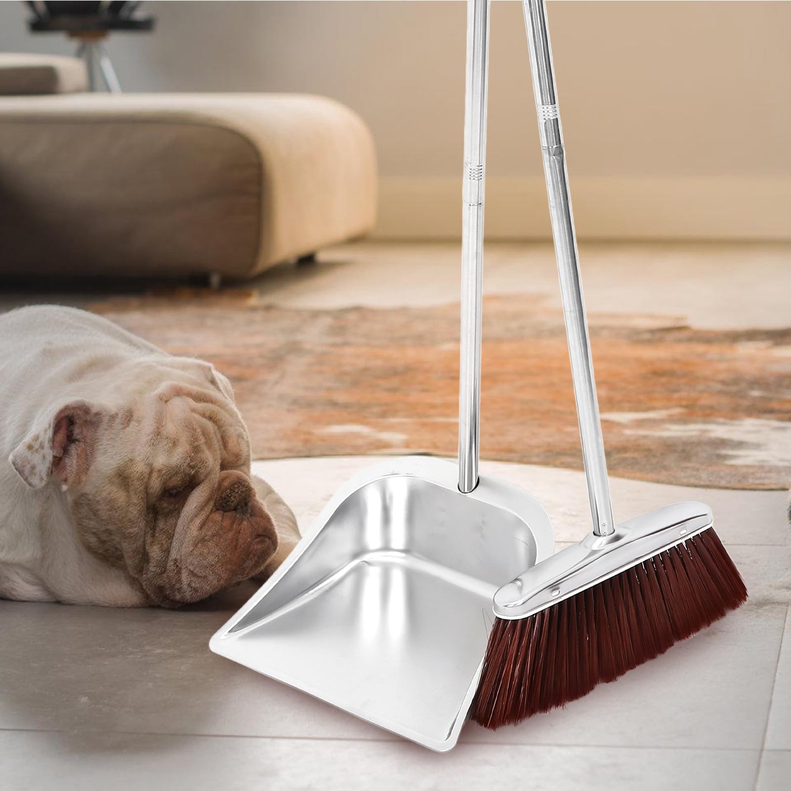 Kit Manche Pratique à Poussière Pelle en Acier Inoxydable et Balai Résistance à L'usure et Rangement Facile Ménage Intérieur