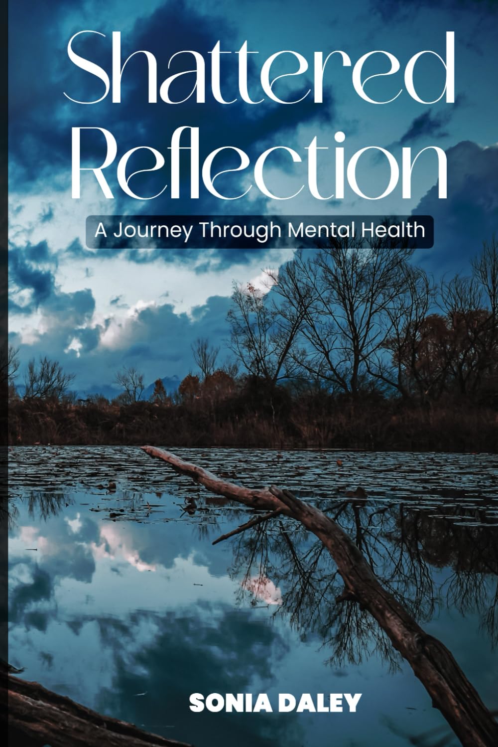 Shattered Reflections: A Journey Through Mental Health