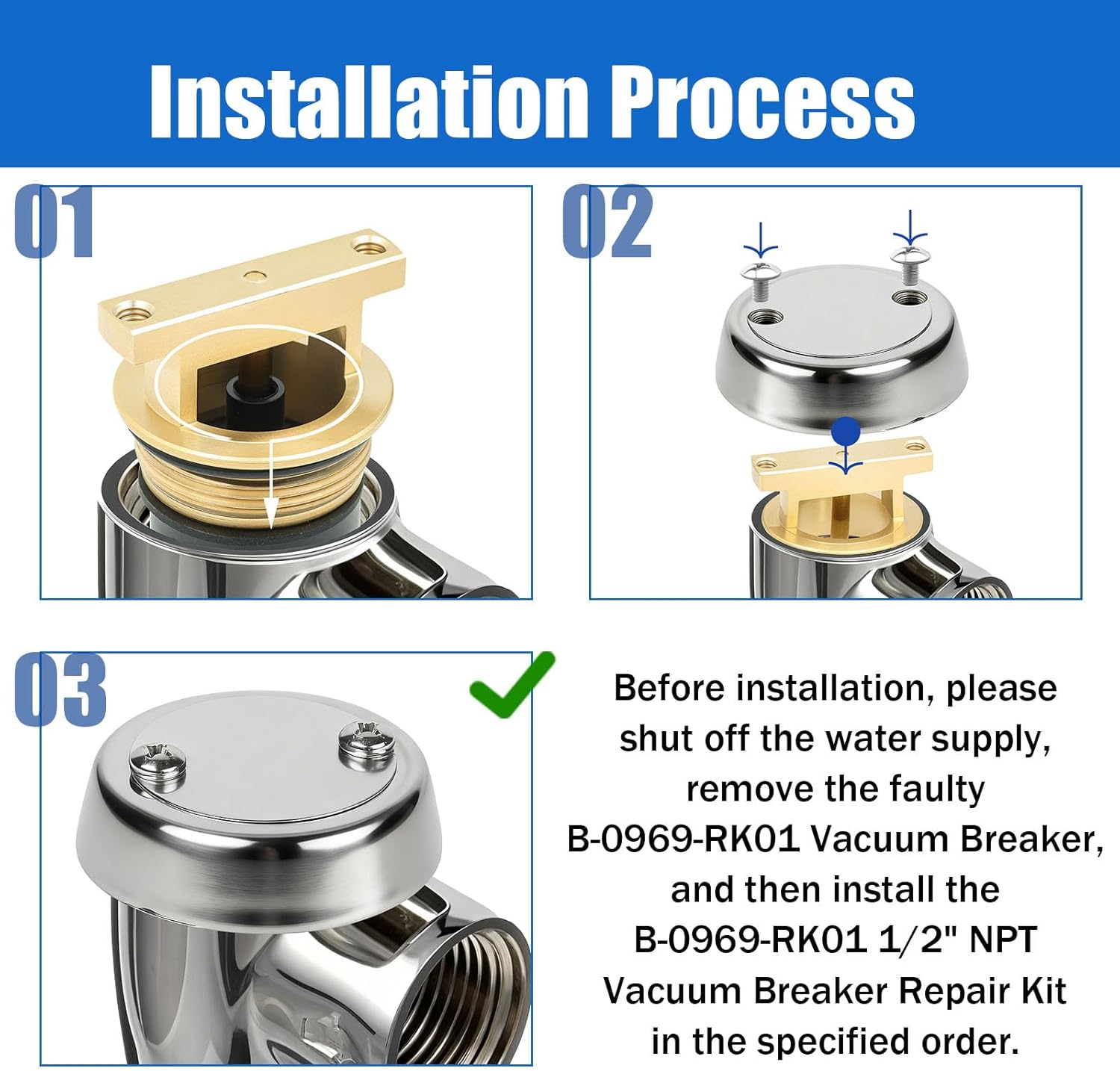B-0969-RK01 1/2" Vacuum Breaker Repair kit for t&s WATTS LF288A Faucet - 2 PK