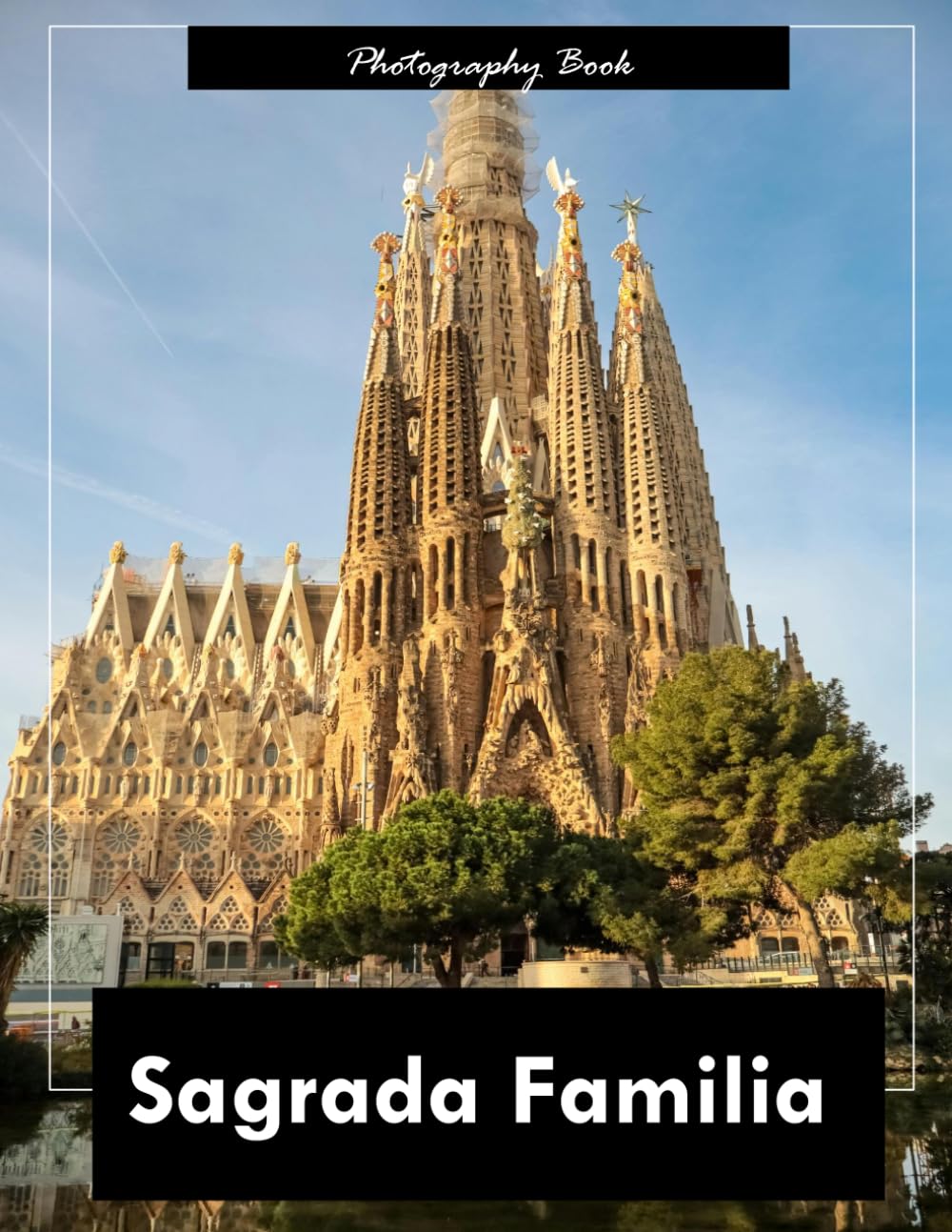 Sagrada Familia: A Visual Journey Through Barcelona’s Sacred Masterpiece — Stunning Photography of Gaudí’s Organic Architecture and Spiritual Grandeur