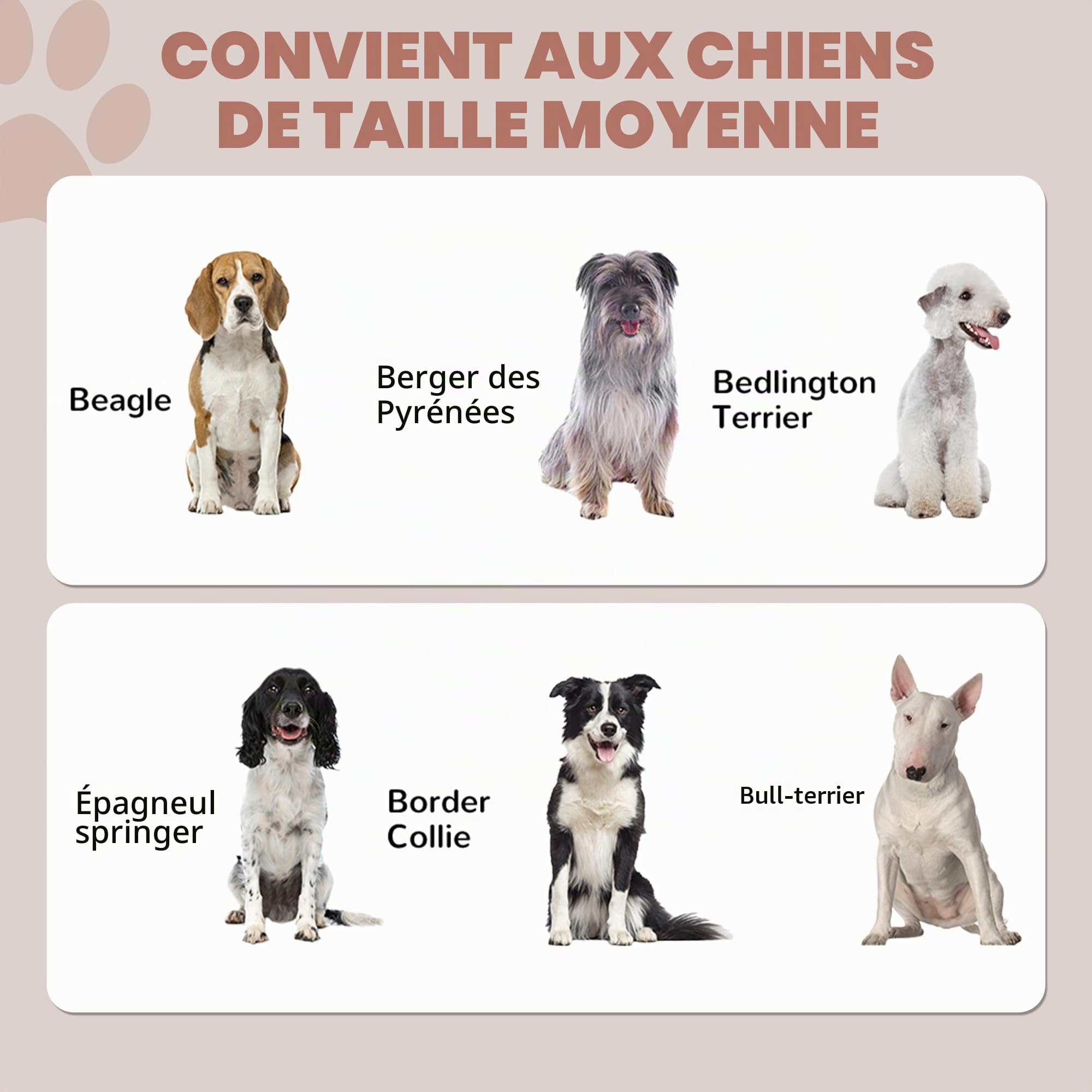 PawHut Station d'alimentation pour Animaux avec Rangement, Station d'alimentation pour Chiens avec gamelles surélevées, Panneau réglable, Crochets, Armoire de Rangement pour Aliments pour Animaux,